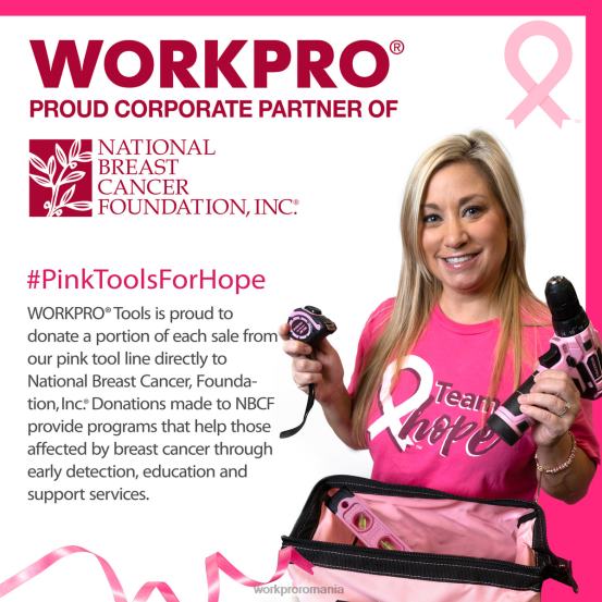 Set de șurubelnițe de precizie 10 buc, cu husă, phillips, crestat, stea torx, kit de reparare șurubelnițe mici cu vârf magnetic WORKPRO 2HX80255 roz instrument