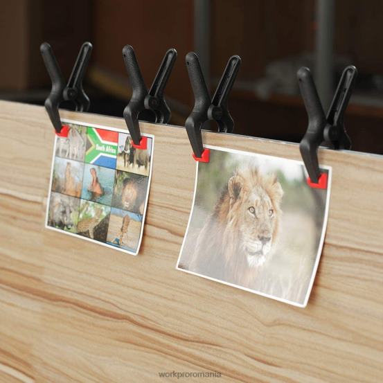 Set de cleme cu arc din nailon de 16 buc pentru prelucrarea lemnului, studiouri de fotografie și lucrări de bricolaj WORKPRO 2HX80125 morden instrument