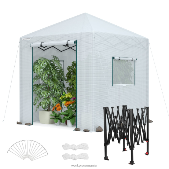 seră portabilă walk-in WORKPRO 2HX80279 morden instrument