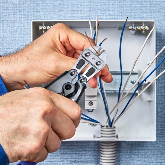 mini tăietor de șuruburi de 8 inchi/210 mm, tăietor de șuruburi mici cr-mo WORKPRO 2HX80157 morden instrument