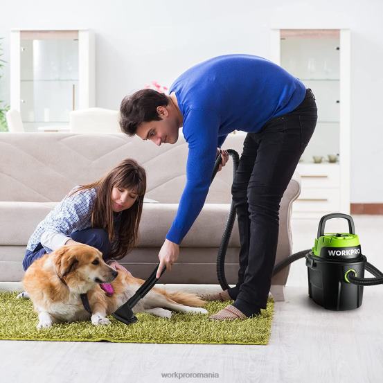 Aspirator umed/uscat 2,5 galoane 3 cai putere de vârf, aspirator portabil de magazin pentru casă WORKPRO 2HX80216 util instrument